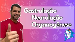 Embriologia  Aula 4  Gastrulação Neurulação e Organogênese [upl. by Edson27]