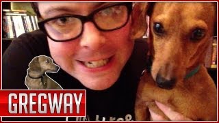 Portillo the Wiener Dogs Origin Gregway Ep 2 [upl. by Kcirdehs]