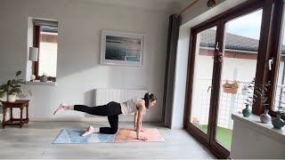 Prenatal Pilates 11  30 Minute fullbody flow [upl. by Jeth]