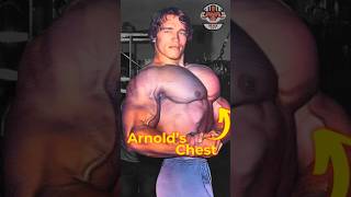 How Arnold Schwarzenegger Built His Iconic Chest Vince Gironda’s 8x8 Secret Max Out shorts [upl. by Dumah126]