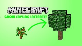 How To Make Saplings  Trees Grow Instantly In Minecraft PE [upl. by Zetnauq516]