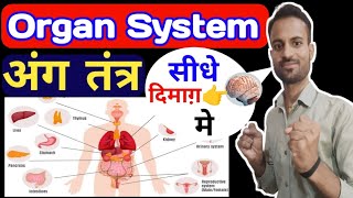 Organ Systems Of The Human Body  11 Organ System Of The Body And Functions gauravstudy [upl. by Charbonneau159]