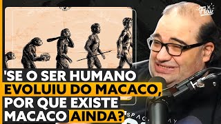 O problema da TEORIA da EVOLUÇÃO [upl. by Nelrsa87]