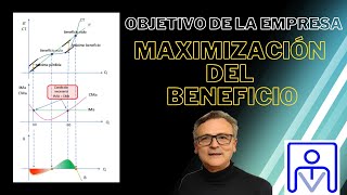 EL OBJETIVO DE LA EMPRESA  LA MAXIMIZACIÓN DEL BENEFICIO [upl. by Anohsal]