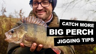 BIG PERCH FISHING RIGS  JIGGING AND JIG HEADS [upl. by Aicilaana]