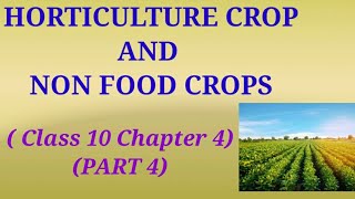 Class 10 GEOGRAPHY Chapter 4  Agriculture  Part 4  Horticulture crop  Non food crops [upl. by Eiveneg]