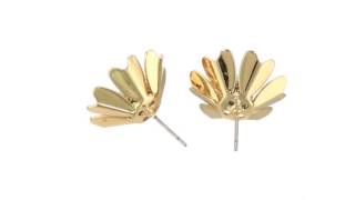 Betsey Johnson  Dream of Betsey Flower Stud Earrings SKU8763123 [upl. by Tnilc]