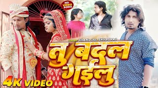 Video  पगला  Ft Mani Meraj  Pagla  Chand Jee amp Shilpi Raj  New Bhojpuri Song 2024 [upl. by Fabi]