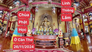 Chùa phật học ở cần thơ linh thiêng lắm cầu xin linh ứng ngay [upl. by Kulseth13]