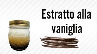 Estratto vaniglia fatto in casa come come evitare la cristallizzazione una volta per tutte [upl. by Otsedom]