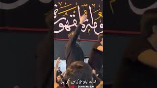 Teri Zahra as py Musibat ki Ghari hai  yazahraص ayamefatimia ayamefatmiyah2024 2024 [upl. by Willdon298]