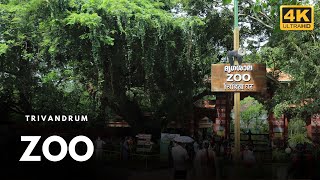 Trivandrum ZOO 4K Complete walkthrough [upl. by Kellie]