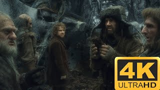 Mirkwood  The Hobbit  The Desolation of Smaug 4K HDR [upl. by Drarig805]