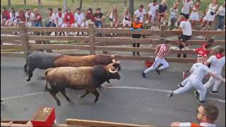 Segundo Encierro Fiestas de Tudela 2024 [upl. by Linda]