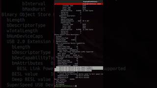 Enumerate Linux Devices With lsusb [upl. by Poree]