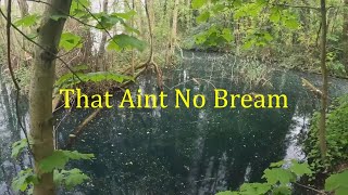 Stalking Shoulders  Yateley Copse Lake [upl. by Rebmyk]