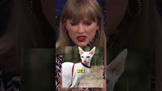 How Many Cats Does Taylor Swift Name Find Out 🐾💫cat [upl. by Adnuhsed620]