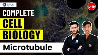 Microtubule for IIT JAM Biotechnology  GAT B  CUET PG  TIFR  Cell Biology  L19 [upl. by Jezrdna]