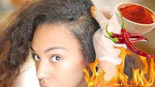 How to GROW HAIR fast Cayenne Pepper for Rapid Hair Growth Natural Hair [upl. by Seldan]