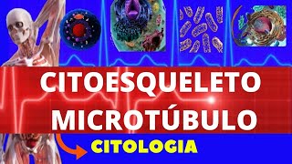 CITOESQUELETO  MICROTÚBULOS  ESTRUTURA FORMAÇÃO E FUNÇÃO  ENSINO SUPERIOR  CITOLOGIA [upl. by Aicnorev443]