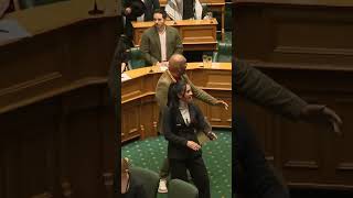 Maori MP Performed HaKa In NZ Parliament viralvideo ytshorts nz māori maoriculture parliament [upl. by Ateekahs]