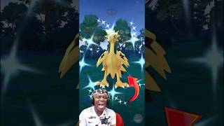 Daily incense Wild Legendary✨Shiny Galarian Zapdos in pokemon go pokemongo soparstart shiny [upl. by Zetta]