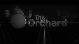 AAIN Logo Part 1 quotStudio 37  The Orchard  Diaphanaquot [upl. by Earahs]