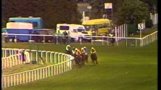 1990 St Jamess Palace Stakes [upl. by Eityak]