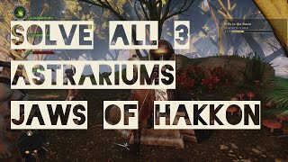 Jaws of Hakkon All 3 Astrariums Solved Frostback Basin  Dragon Age Inquisition DLC [upl. by Tova775]