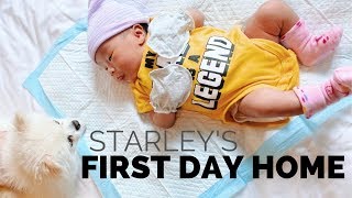 Welcome to the World Baby Starley [upl. by Ayiak]