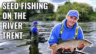 Seed Fishing on the River Trent  Float Fishing with Light Tackle [upl. by Neirrad]