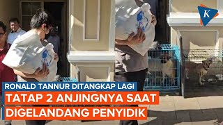 Detikdetik Ronald Tannur Tatap 2 Anjingnya Saat Digelandang Penyidik [upl. by Iviv544]