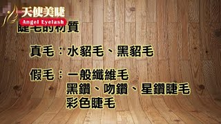 如何選擇睫毛的材質 不同睫毛材料的差異 ｜ GinaTV❤美睫教學 [upl. by Freyah]