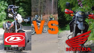 HONDA CRF250L VS BETA Alp 40 [upl. by Eisenstark]