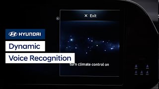 Dynamic Voice Recognition  Bluelink [upl. by Atirys]