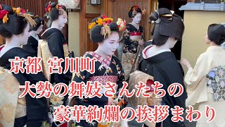 京都宮川町 大勢の舞妓さんたちの豪華絢爛の挨拶まわり Maiko of Miyagawacho Kyoto 【4K】2024 [upl. by Eizzik864]