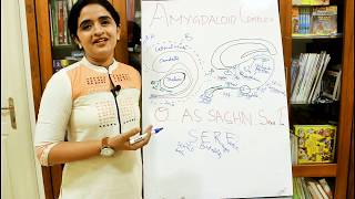 NEUROANATOMYTHE LIMBIC SYSTEMPART2AMYGDALADR ROSE JOSE MD [upl. by Otrepur778]