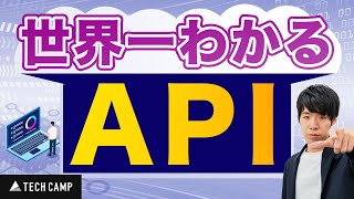 【初心者必見】世界一わかりやすいAPI [upl. by Memory]