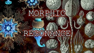 Morphic Resonance The Theory of Formative Causation [upl. by Dnomhcir]