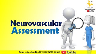 Neurovascular Assessment  The 6 Ps of neurovascular assessment [upl. by Stanzel]