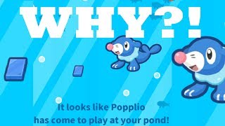 Why POPPLIO SHOULD Be Your First Pick  Magikarp Jump [upl. by Gilliam]