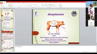 Anaplasma by Dr Ajit Kumar Dept of Parasitology BVC Patna [upl. by Baiel]