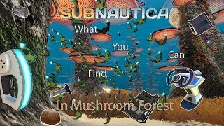 What You Can Find in NE Mushroom Forest Subnautica [upl. by Herald]