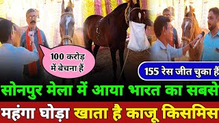 sonpur mela में आया भारत का सबसे महंगा घोड़ा 155 रेस जीतने वाला घोड़ा खाता है काजू किसमिस [upl. by Asilav]