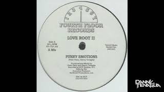 Danny Tenaglia AKA Love Root II  Funky Emotions A Mix [upl. by Aicetal]