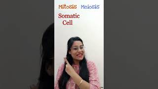 Difference Between Mitosis amp Meiosis Biology Class9 amp 10 boardexam2025 icsecbse latestsyllabus [upl. by Joela7]