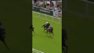 How exciting is The Lion In Winter horse horseracing racingtv sport britishhorseracing [upl. by Vassar]