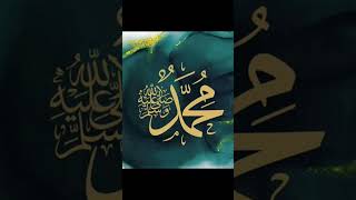 12 Rabi ul Awal jashne amade Rasool [upl. by Enelym531]