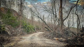 Linville Gorge Helene Destruction  Hawksbill Mountain Hike  NC [upl. by Perri216]