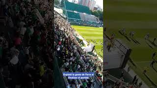 EXPLOTÓ LA GENTE DE FERRO futbol football footballshorts ferro quilmes indioskilmes ascenso [upl. by Terrye775]